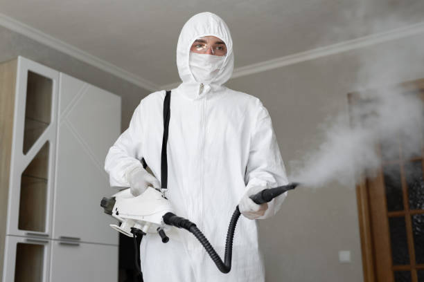 Trusted East Honolulu, HI Mold Removal Services Experts